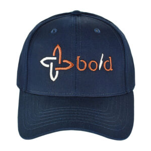 Boldric---NavyBaseballHat1